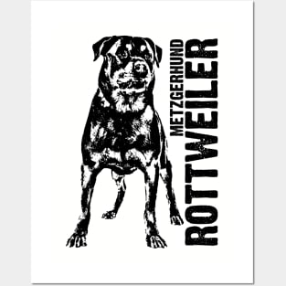 Rottweiler  - Metzgerhund Posters and Art